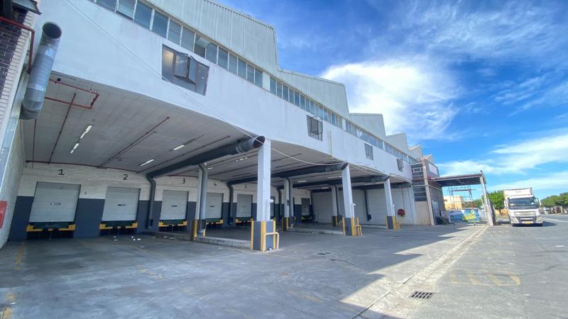 To Let commercial Property for Rent in Epping Industrial Western Cape